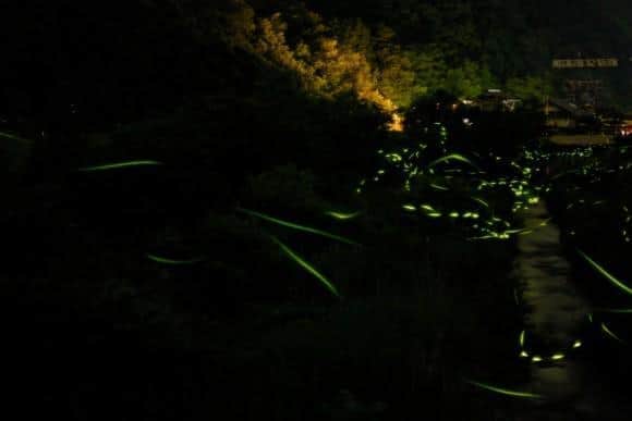 Image by http://www.flickr.com/photos/giyu/ 