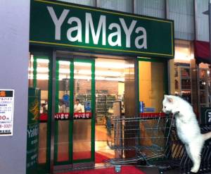 Cheap supermarkets in Tokyo - Yamaya