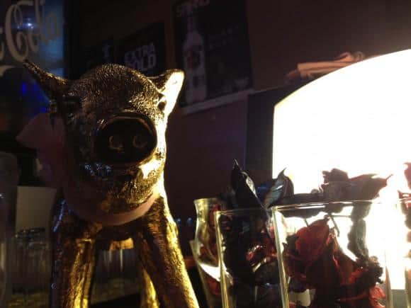 genka-pig