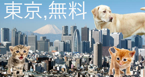 free things to do in tokyo