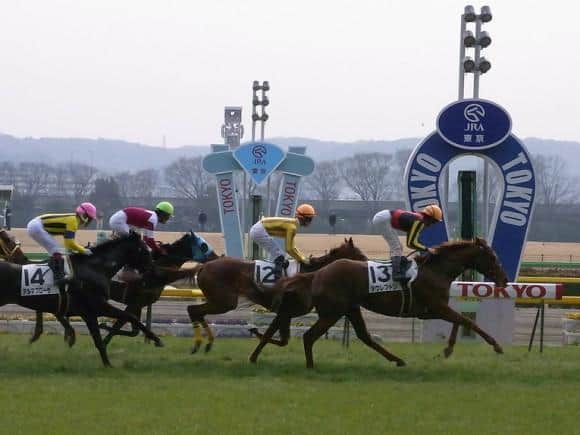 tokyo-racecourse
