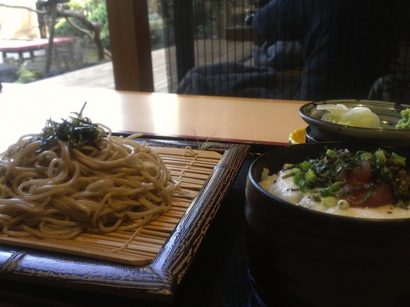 more food sakura