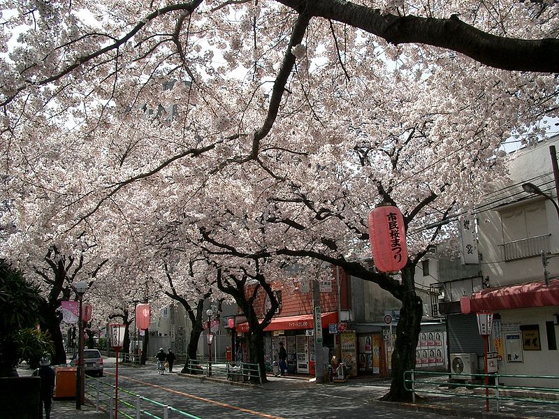 Fuchu Area Guide Tokyo Cheapo