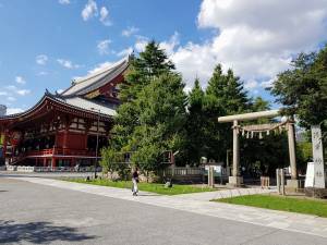 asakusa-shrine-torii_gdl-