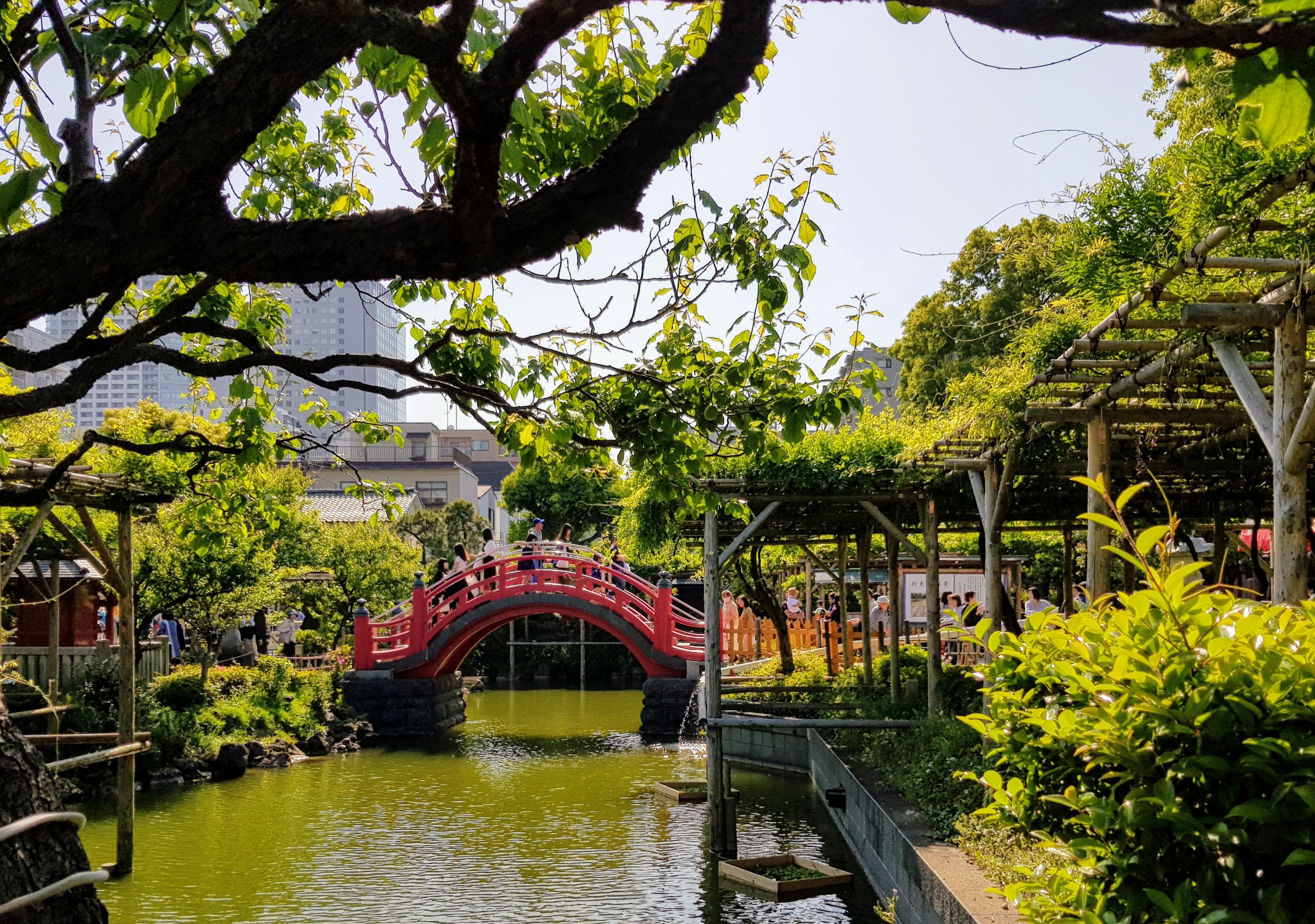 kameido tenjin shrine
