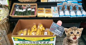 Organic produce in Tokyo