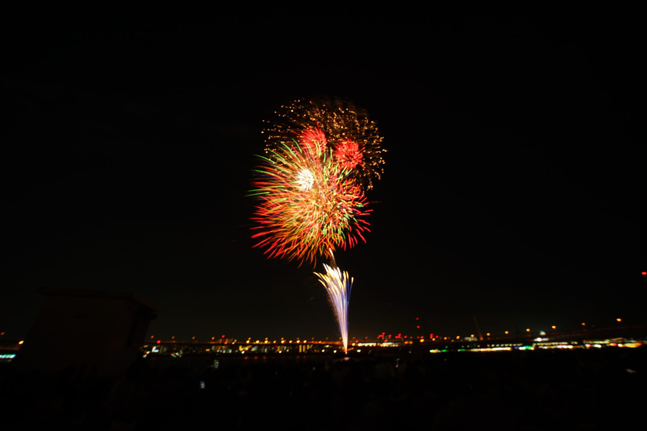 Fireworks: Sightseeing At Night CCM レコード Fireworks – Sightseeing At Night – Vinyl (Pinckneyville