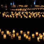 washi candle garden toyko