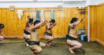 sumo