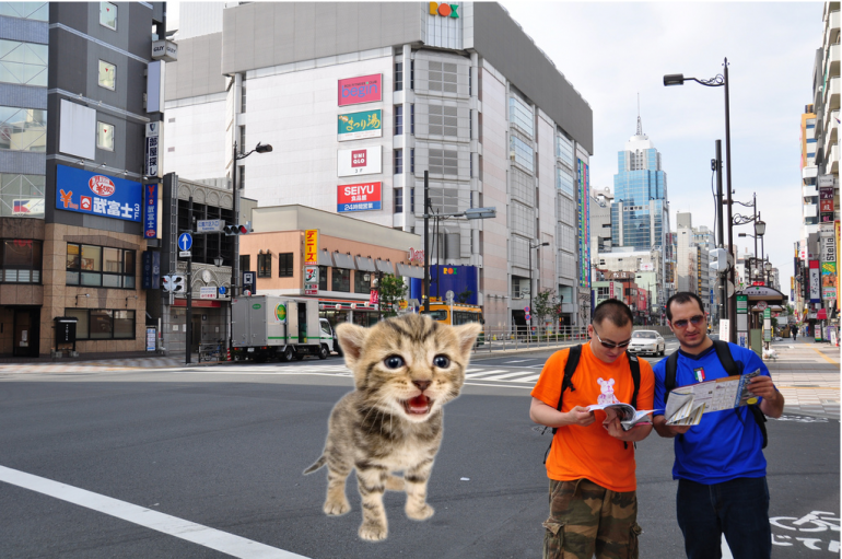 losttourists