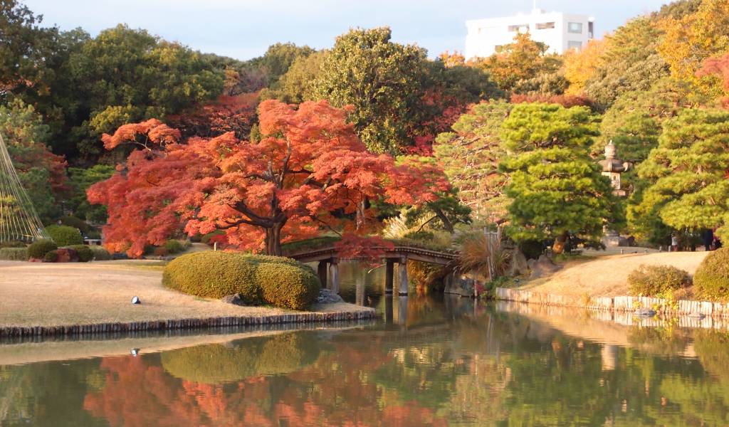 Rikugien Tokyo Cheapo