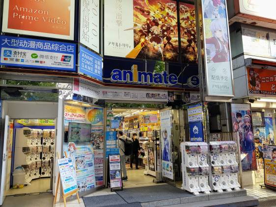 animate store