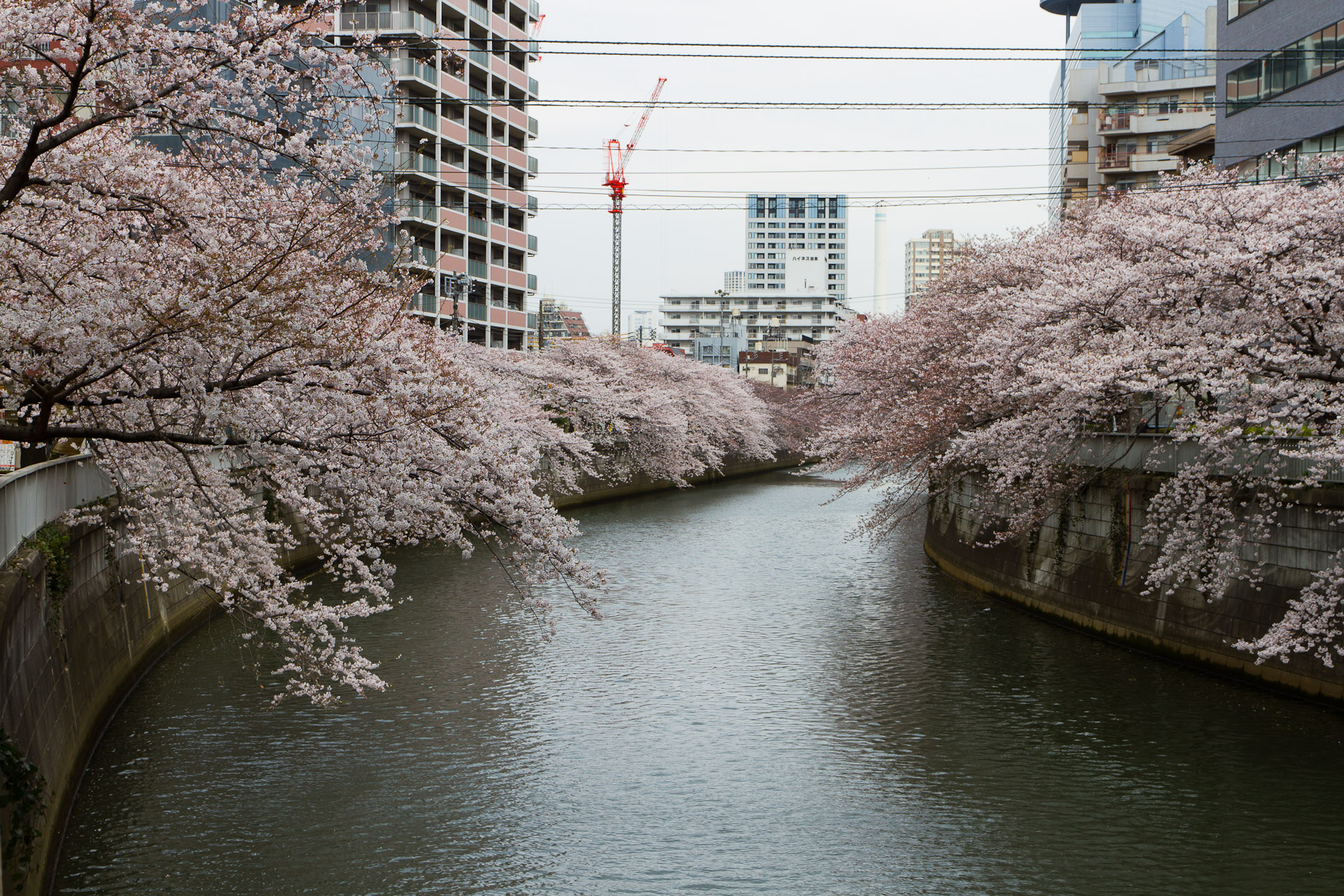 Understanding Denier Ratings Choosing the Right Horse Blanket for Your