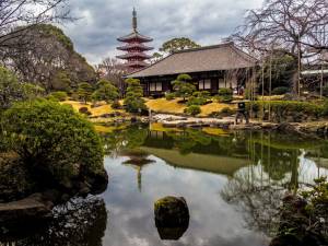 Hidden Garden at Denpoin Temple | Tokyo Cheapo