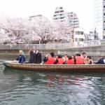 wasen boat edo fukagawa sakura cherry blossom