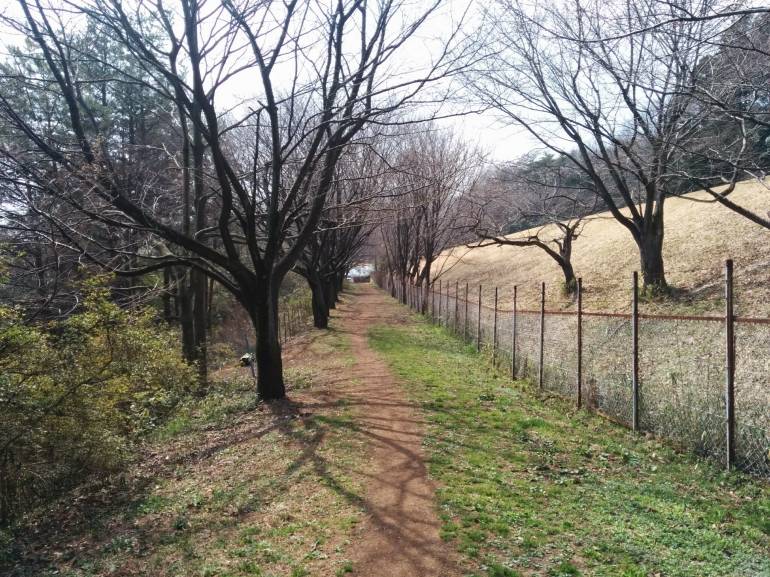 golf course path