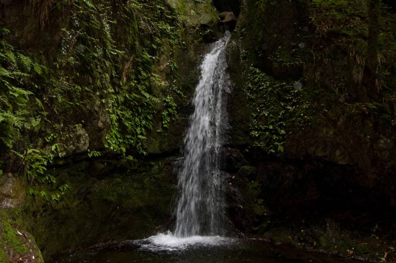 Mt. Mitake