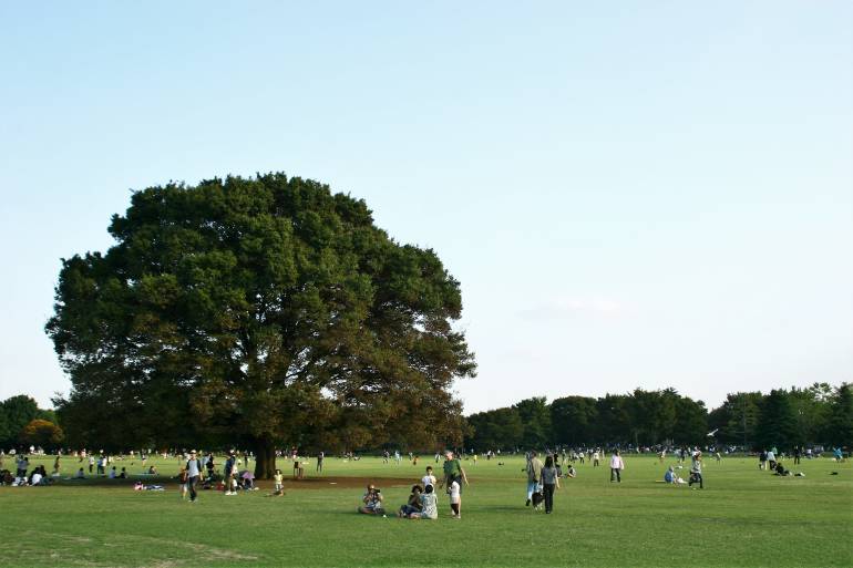 showa kinen picnic spot tokyo