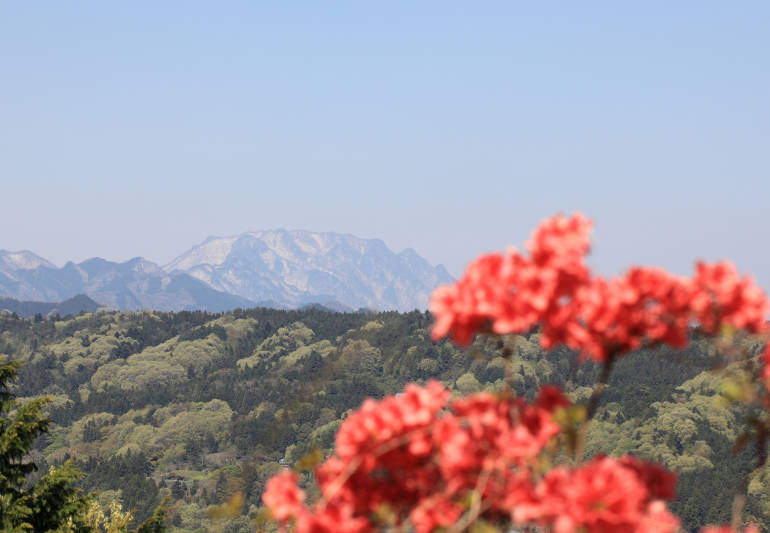 View from Daien Temple