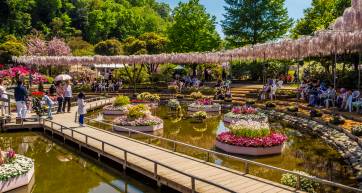 Ashikaga Flower Park