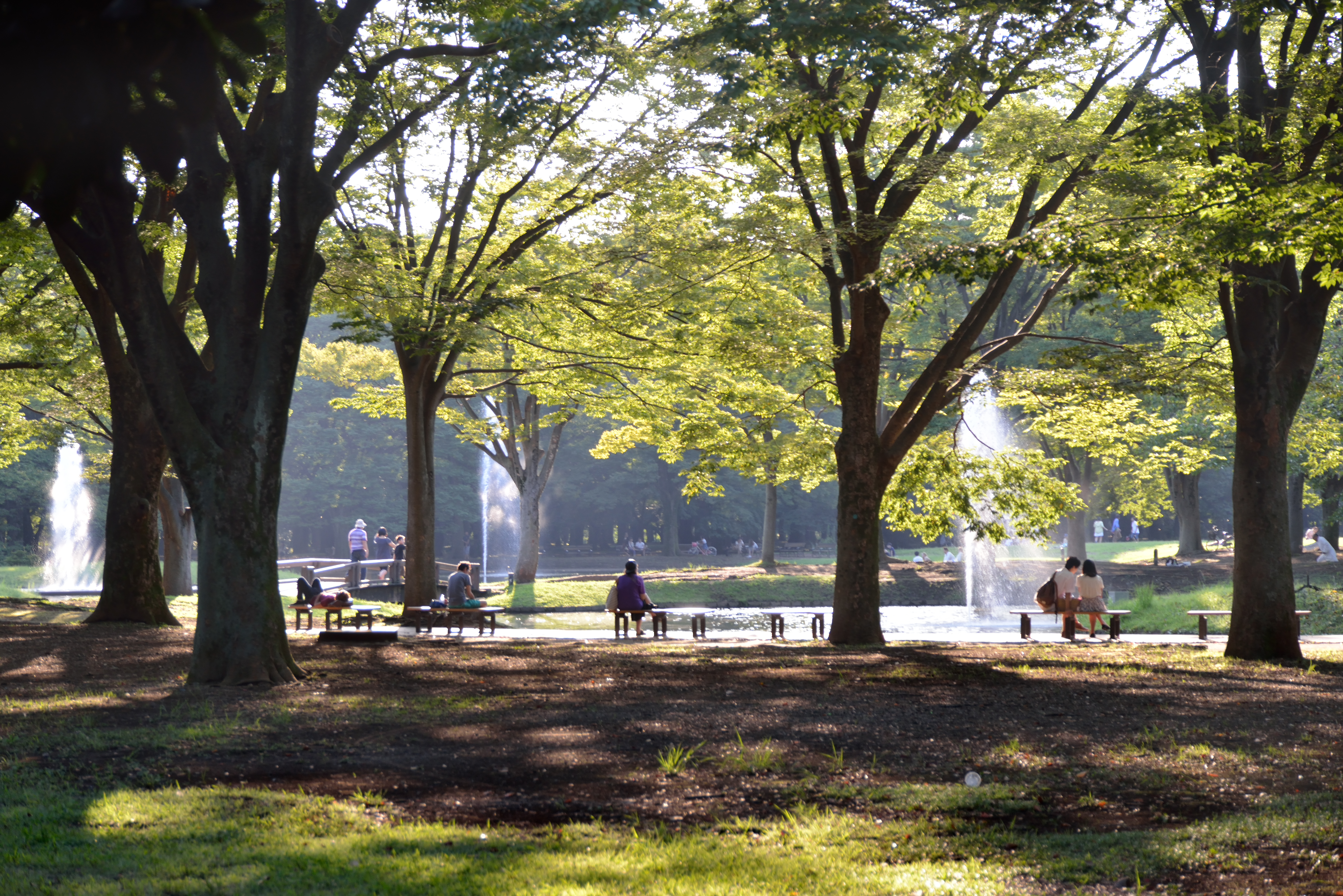 parque yoyogi