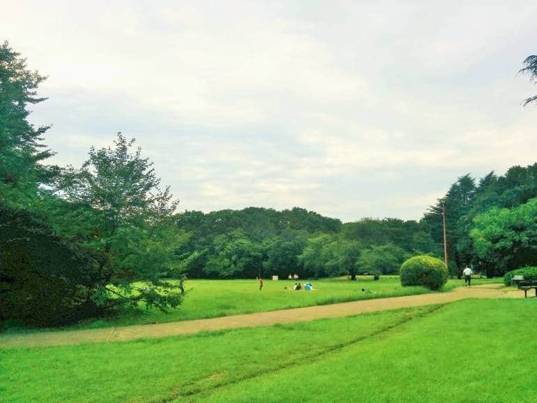 Kinuta Park