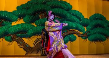 Shows / Performances