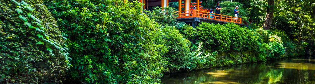 Nezu Jinja: Seriously Underrated