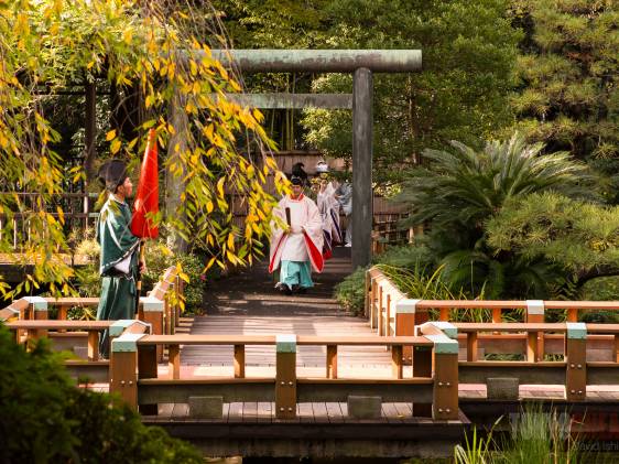 When's the Best Time to Visit Tokyo?
