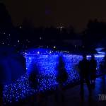winter illuminations tokyo