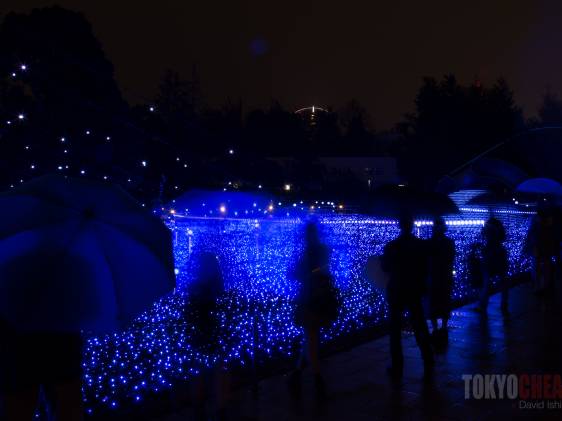 winter illuminations tokyo