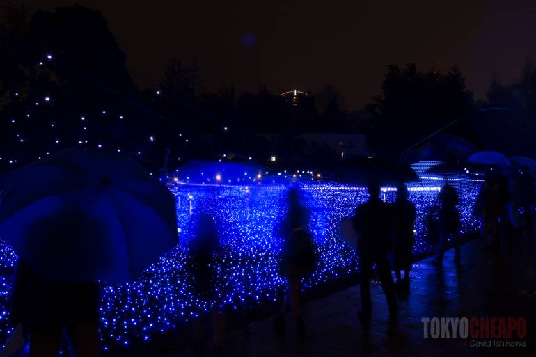 winter illuminations tokyo