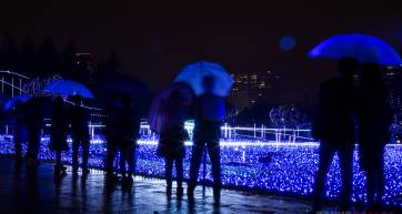 winter illuminations tokyo