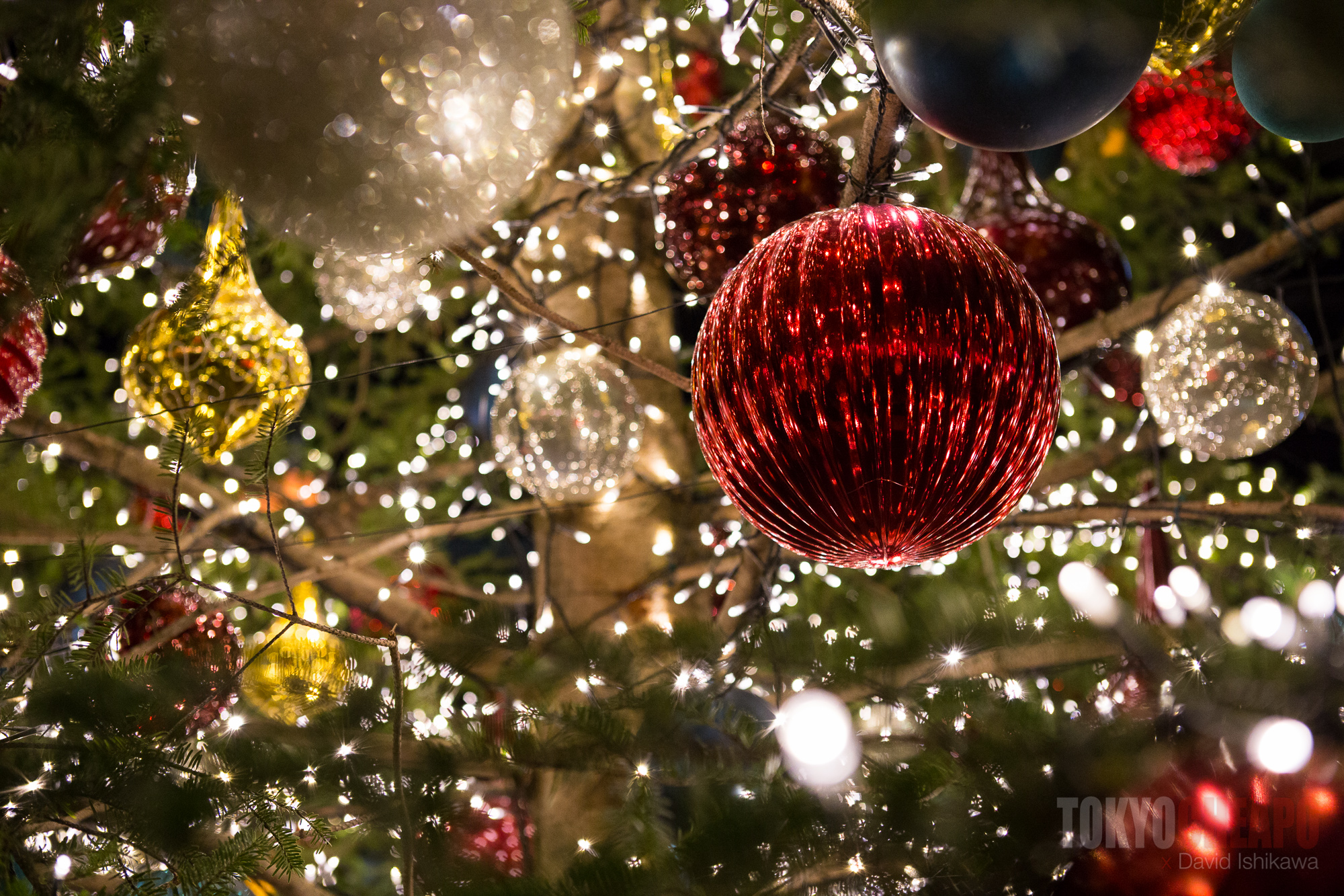 100 christmas decor suppliers south africa 100 christmas decor suppliers south africa