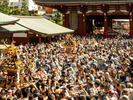 sanja matsuri may june tokyo events