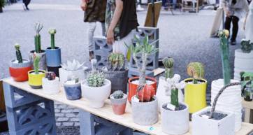earth garden