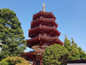 Daihana（3点） IMG_20230912_151053.jpg?v=