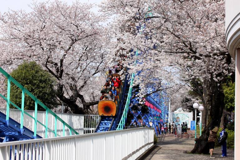 Tokyo disneyland alternatives amusement park