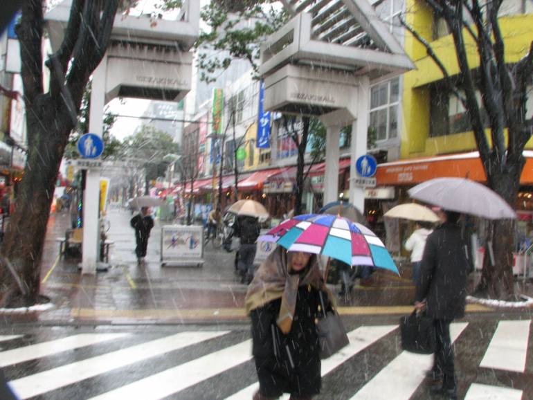 The rain and wind can be intense. - typhoon japan
