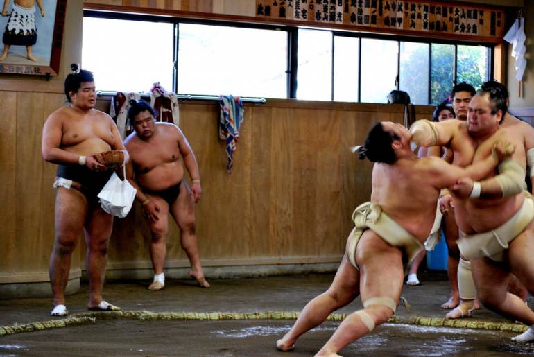sumo