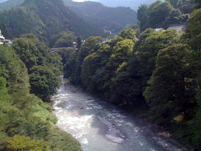 Fall Day Trips from Tokyo