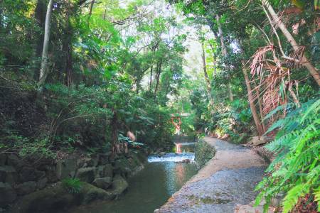 Todoroki Valley: Tokyo's Secret Escape | Tokyo Cheapo