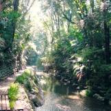 Todoroki Valley start