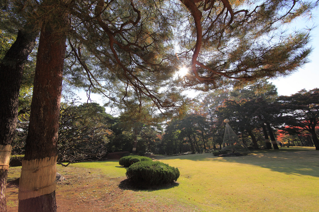 tokyo nature escape