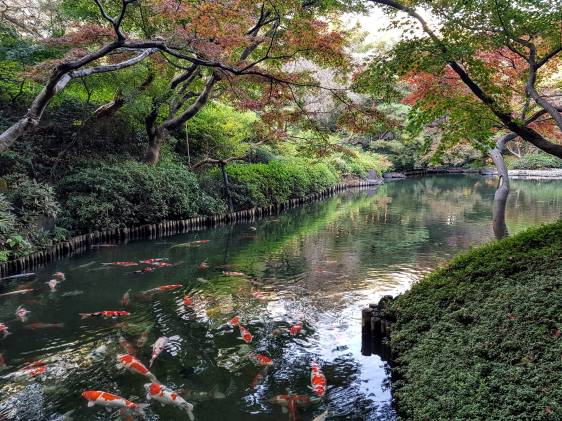happoen-garden-pond_gdl-