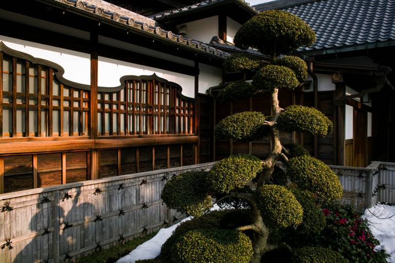 ueno walking tour