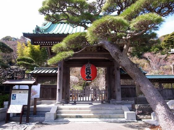 Hasedera Temple Kamakura