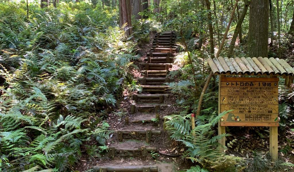 Kurosuke's House (Totoro's Forest)
