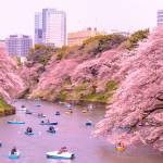 kitanomaru park