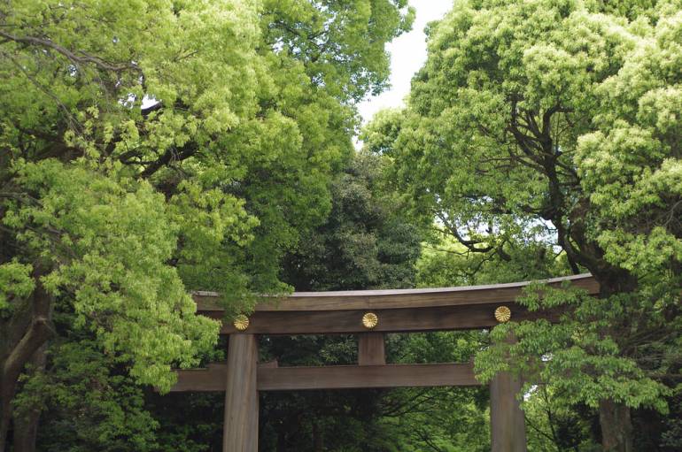 Meiji Jingu Tori Gate